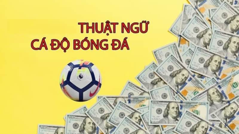 Công Thức Bắt Kèo Bóng Đá Hướng Dẫn Chi Tiết Cho Người Mới Bắt Đầu